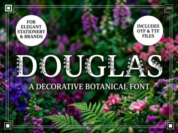Douglas: A Bold Typeface for Unforgettable Design